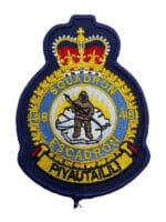 Canadian Forces RCAF 418 Squadron Heraldic Crest Patch Colour Vintage