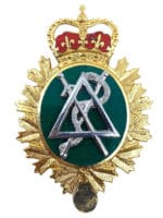 Canadian Forces CF Dental Branch Enamel Cap Badge