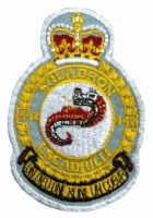 Royal Canadian Air Force RCAF 442 Squadron Crest Patch Vintage