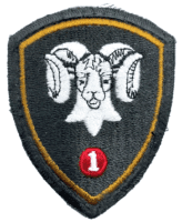 Canadian 1st CMBG Mechanized Brigade Group Patch Insignia Canadian 1st CMBG Mechanized Brigade Group Patch Insignia