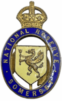 WW2 British Army National Reserve Somerset Lapel Pin Insignia