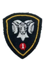 Canadian Forces 1 CMBG Mechanized Brigade Group DEU Patch