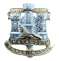 British Devonshire & Dorset Regiment Stay Brite Cap Badge British Devonshire & Dorset Regiment Stay Brite Cap Badge