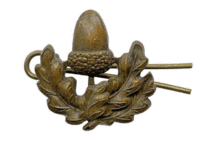 WW2 British Army Cheshire Regiment Bronze Officers Collar Single