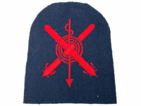 British RN Navy Torpedo Anti Submarine Ratings Sleeve Patch Insignia 2