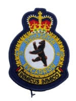 Canadian Forces RCAF 411 Squadron Heraldic Crest Patch Colour Vintage