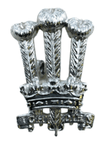 British Royal Regiment Of Wales Staybrite Cap Badge