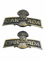 WW1 Canadian CEF 229th Battalion Shoulder Titles Insignia Pair