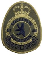 Canadian Forces RCAF 411 Squadron OD Green Heraldic Crest Patch Vintage Canadian Forces RCAF 411 Squadron OD Green Heraldic Crest Patch Vintage