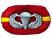 US Army 320th Air Defense Arty 1st Battalion Airborne Jump Oval Wings Insignia
