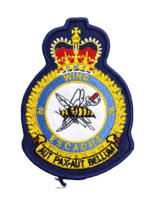 Canadian RCAF No 2 WING Flight Suit Jacket Patch Vintage