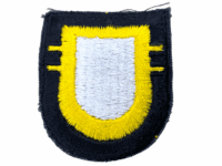 US Army Special Forces Airborne 101st Ab 2nd Btn Beret Flash US Army Special Forces Airborne 101st Ab 2nd Btn Beret Flash