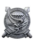 Italian 2nd Battalion Parachutist Airborne Beret Badge Insignia
