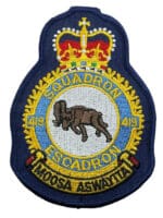 Canadian Forces RCAF 419 Squadron Heraldic Colour Crest Patch