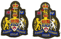 Canadian Army Chief Warrant Officer Sleeve Rank Insignia Patch Pair