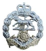 British Royal Hampshire Staybright Cap Badge British Royal Hampshire Staybright Cap Badge