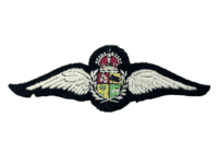WW2 South African SAAF Pilots Wing