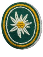 West German 24th Mountain Troops Brigade Mechanized Patch Insignia