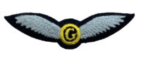 British Army Glider Pilot Wings Insignia