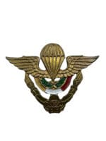 Peru Free Fall Master Parachutist Airborne Para Jump Wing Insignia 1