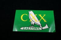 Post WW2 British RAF Zapper Sticker CXX Falcons
