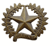 WW2 New Zealand 17th Ruahine Regiment Cap Badge