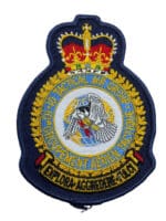 Royal Canadian Airforce 10th Tactical Air Group Crest Patch Vintage