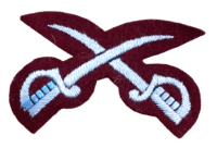 WW2 British Airborne Physical Training Trade Patch Insignia