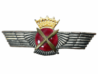 Spanish Spain Civil War Pilots Badge Tombak With Backing Plate Original Spanish Spain Civil War Pilots Badge Tombak With Backing Plate Original