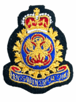 Canadian Forces PERI Physical Education Cap Badge Insignia