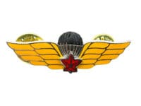 Canadian Forces Airborne Para Red Leaf Metal Wing Miniature Secondary Duties Canadian Forces Airborne Para Red Leaf Metal Wing Miniature Secondary Duties