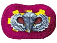 US Army 326th Airborne Engineer Jump Oval Wings Insignia