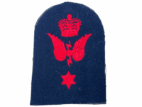 British RN Navy Chief Radio Supervisor Trade Patch British RN Navy Chief Radio Supervisor Trade Patch
