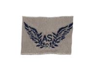 WW2 British RAF AS Auxiliary Service Woven Patch Insignia