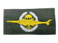West German Combat Diver Airborne Trade Patch Wing 1