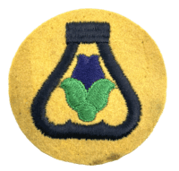 WW2 US 21st Cavalry SSI Sleeve Patch Insignia