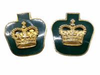 Canadian Forces Warrant Officer Rank Crowns Enamel Pair 2