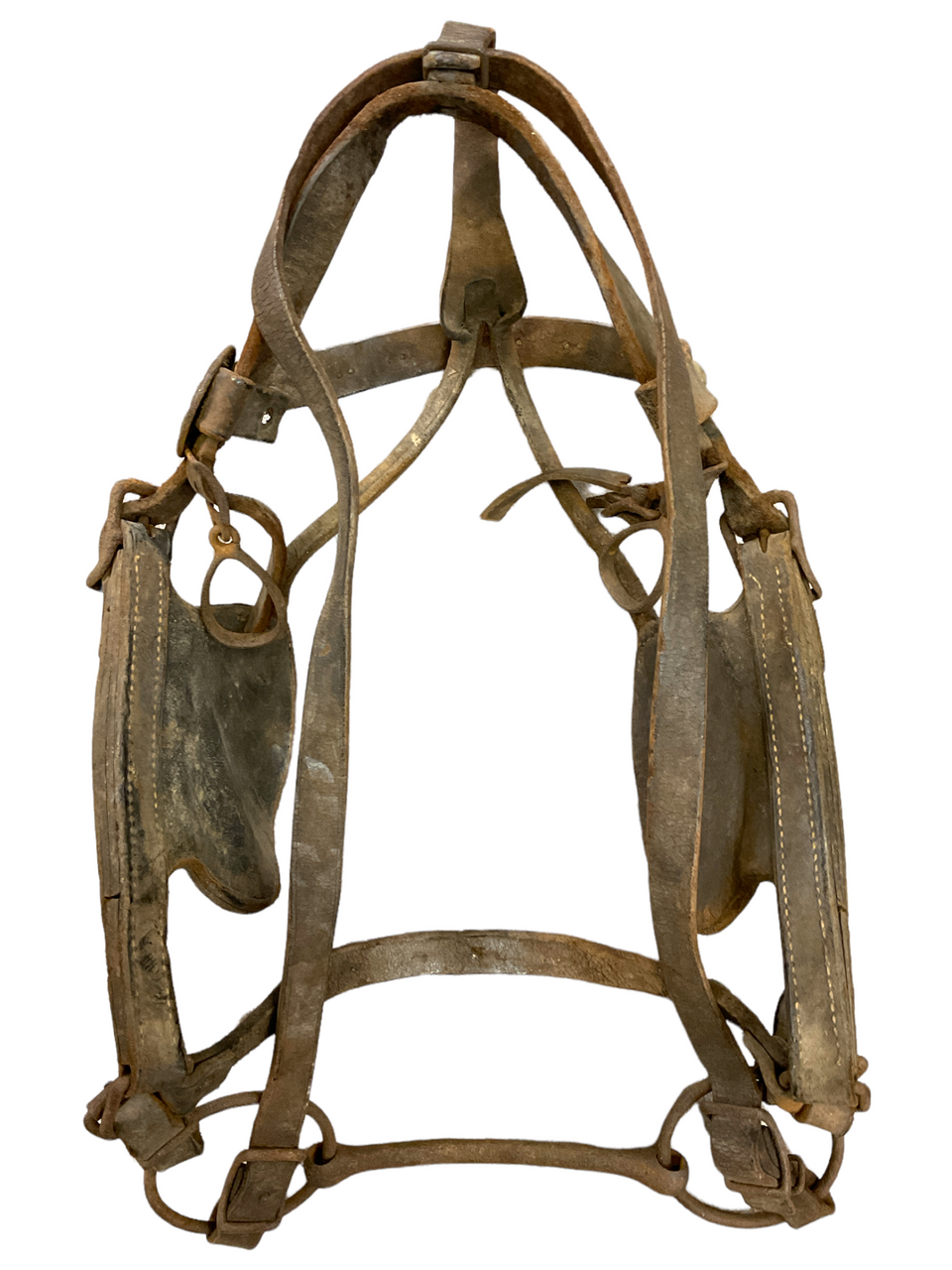 Vintage Decorative Canadian Leather Cart Horse Tack Blinkers & Bridle Vintage Decorative Canadian Leather Cart Horse Tack Blinkers & Bridle