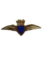 WW2 British RN Royal Navy Flying School Wings Lapel Pin