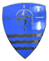 NATO Command Enamel Clutch Back Pocket Badge Insignia