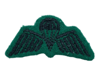 British Irish Rangers Green Backed Jump Qualification Wings Mess Dress