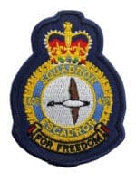 Canadian Forces RCAF 408 Squadron Heraldic Colour Crest Patch Hat Size Vintage