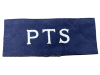 WW2 Canadian British Physical Training Staff PTS Armband