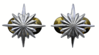 Canadian Forces Intelligence Corps Collars Insignia Pair