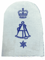 British RN Navy Surveyor Recorder Sleeve Patch Printed