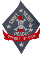 Desert Storm US USMC 1st Marine Corps Patch