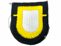 US Army Special Forces Airborne 101st 1st Btn Beret Flash