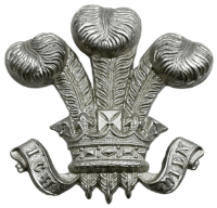 WW2 British Prince Of Wales Own Light Dragoons Cap Badge
