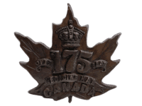 WW1 Canadian CEF 175th Battalion Medicine Hat Variation Collar Insignia Badge WW1 Canadian CEF 175th Battalion Medicine Hat Variation Collar Insignia Badge