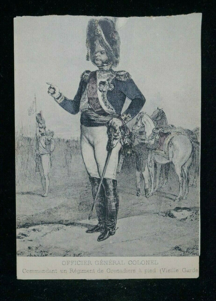 Napoleonic Era French Colonel Officer Postcard Napoleonic Era French Colonel Officer Postcard